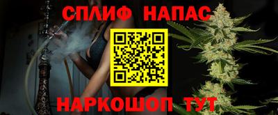 тгк Белореченск
