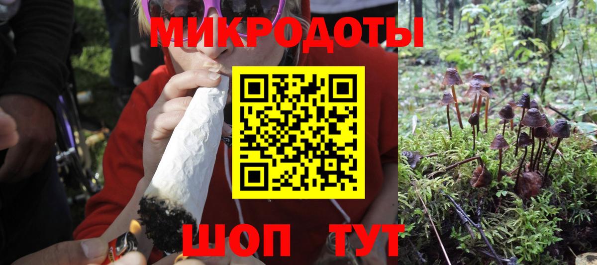 Галлюциногенные грибы мицелий  Вход с VPN  Белогорск 
